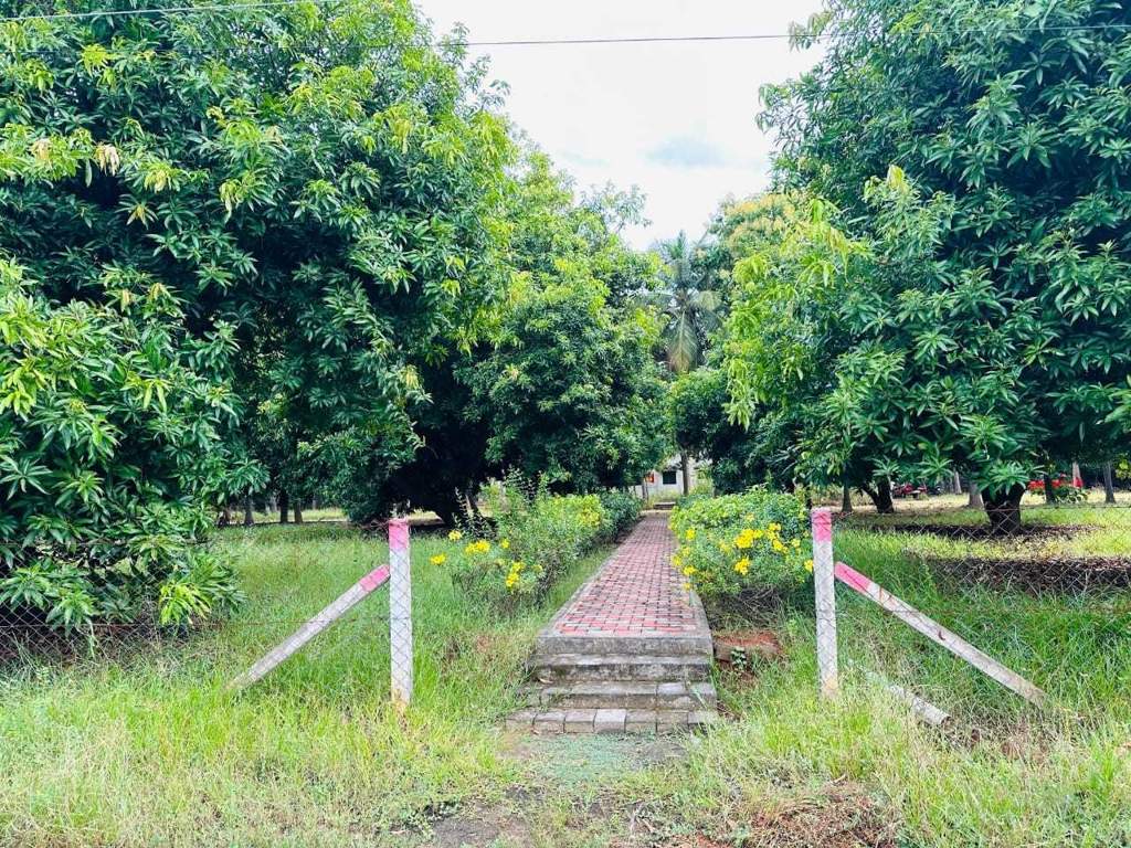  kundapuram phase iii Landscape Garden and Tree Planting