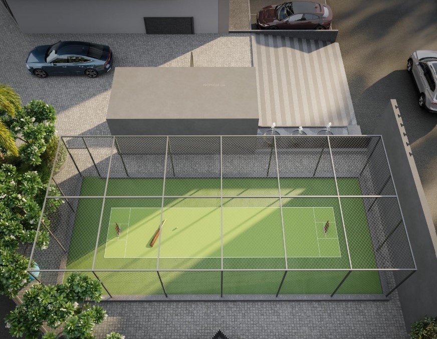  magnolia Cricket arena