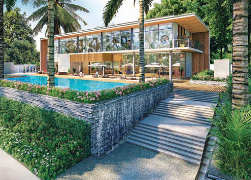 lushlands Landscape Garden and Tree Planting