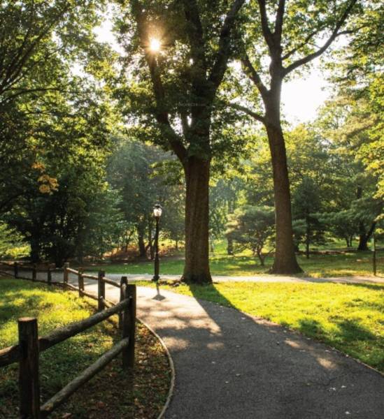  vrikshya Landscaped Gardens