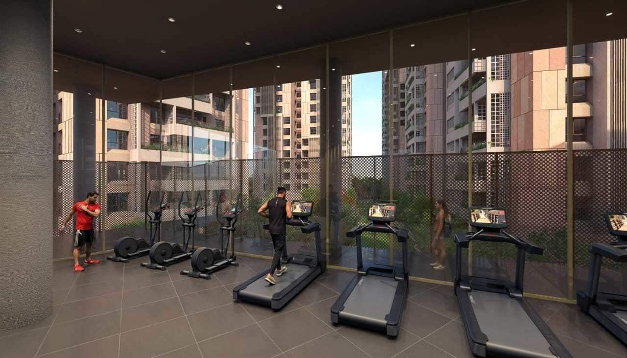  songs of the sun Gymnasium