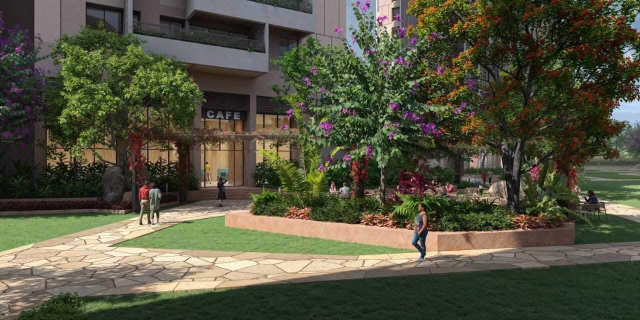  songs of the sun Others