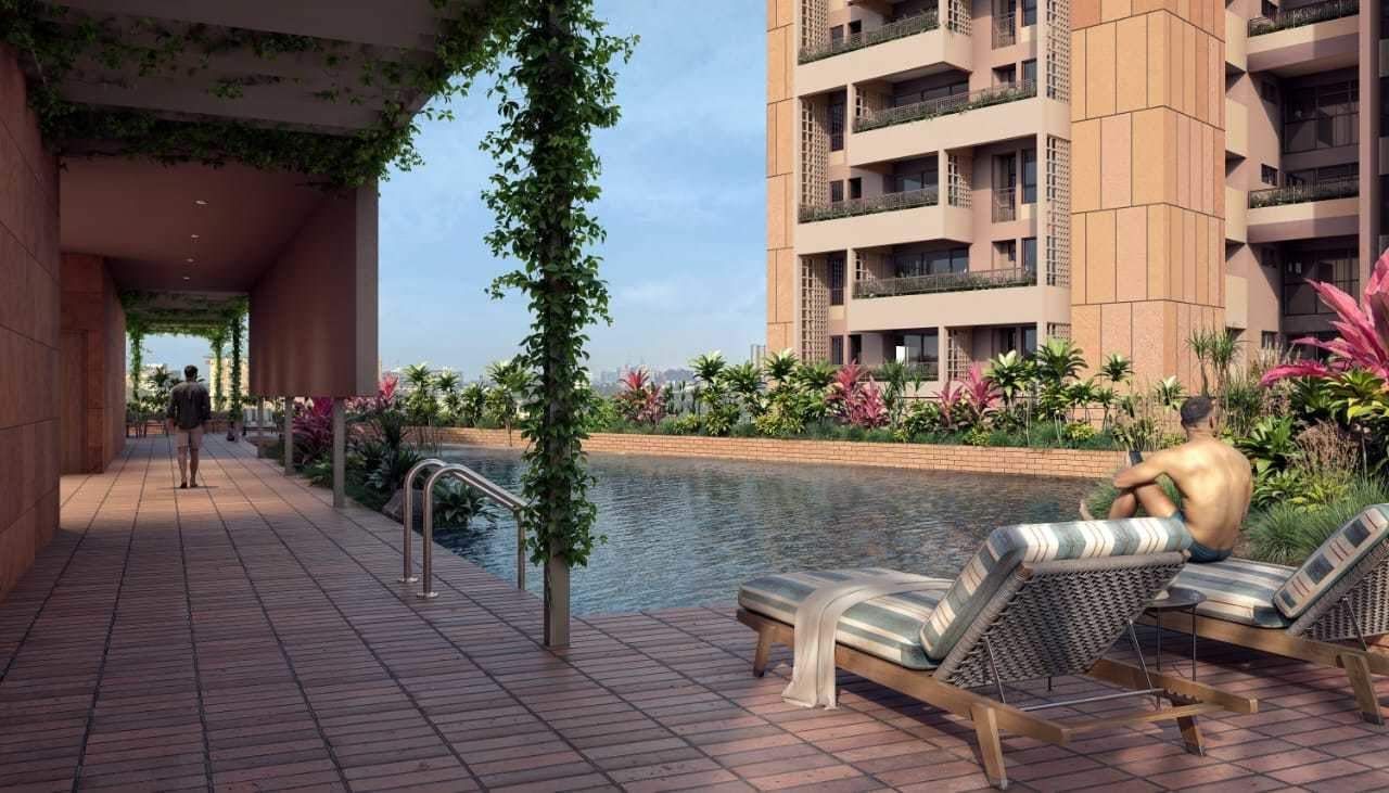  songs of the sun Swimming Pool