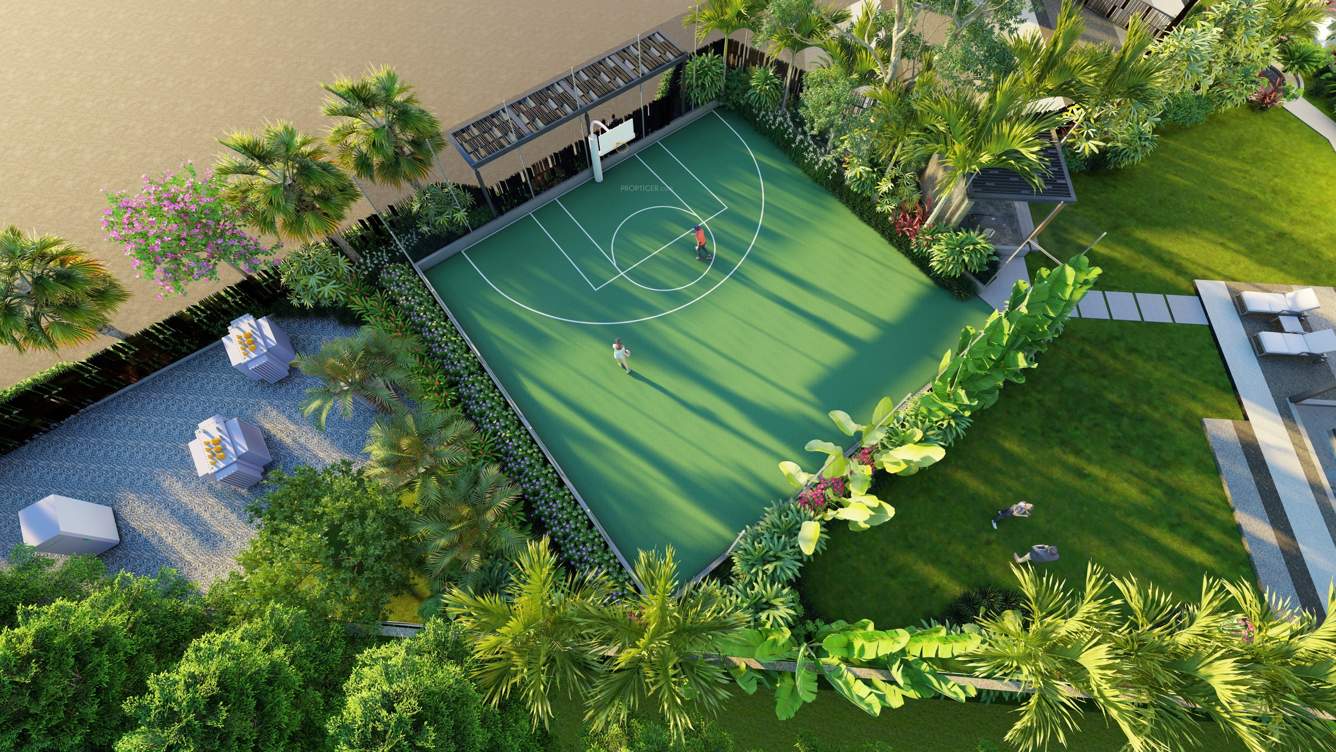 capital Basketball Court