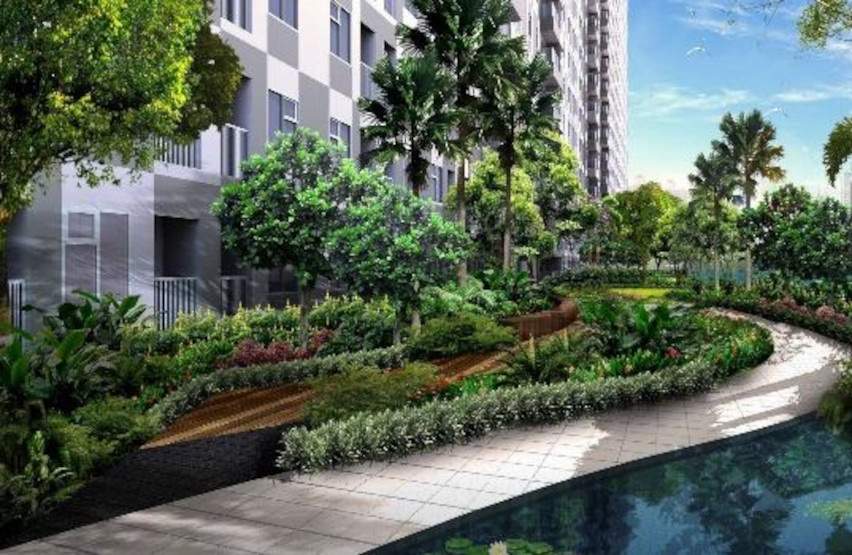  saffron 360 Landscape Garden and Tree Planting