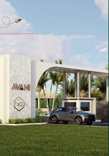 Elevation honeycomb Elevation