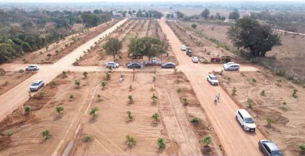  kalpavruksha-farm-plots Plot