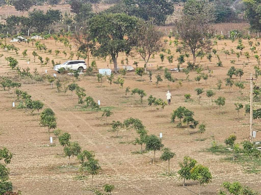  kalpavruksha farm plots Plot