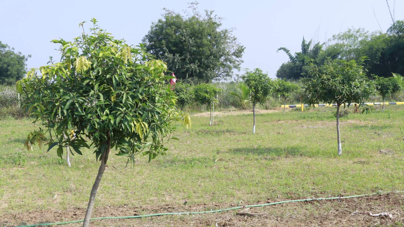  kalpavruksha farm plots Plot
