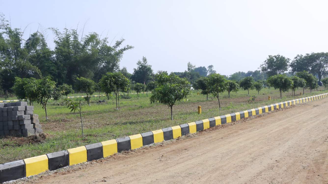  kalpavruksha farm plots Plot