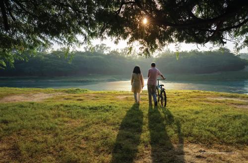  woodside-estate-phase-1 Landscape Garden and Tree Planting