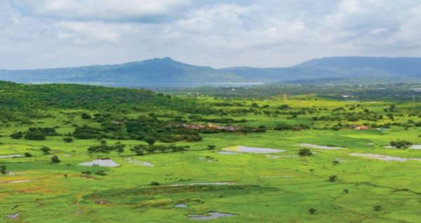  woodside-estate-phase-1 Plot