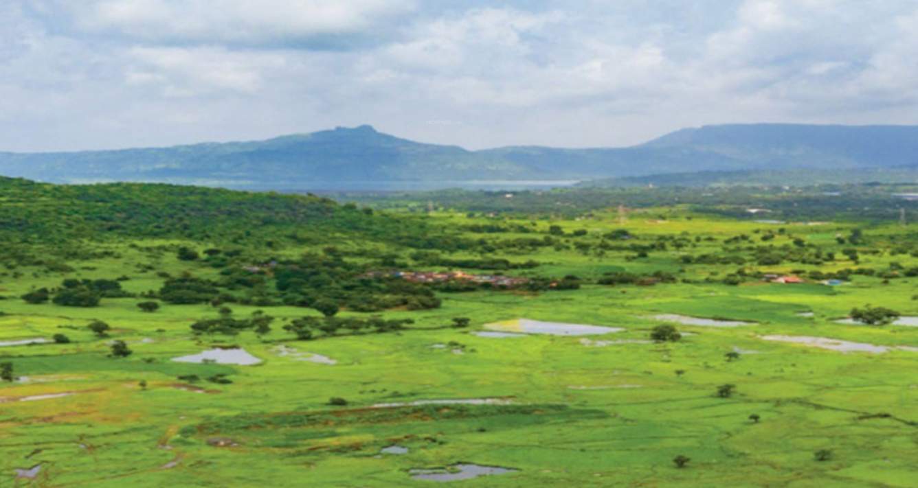  woodside estate phase 1 Plot