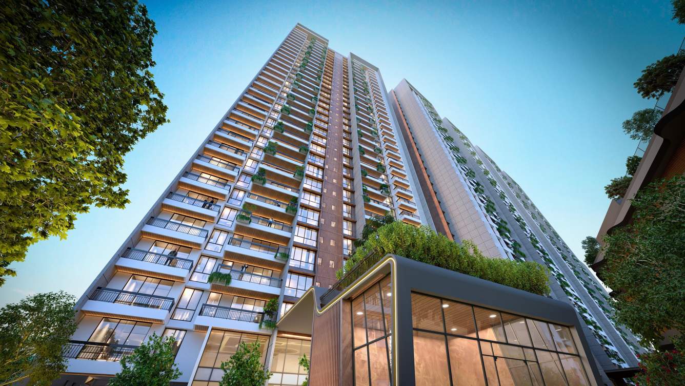  austin yana Elevation