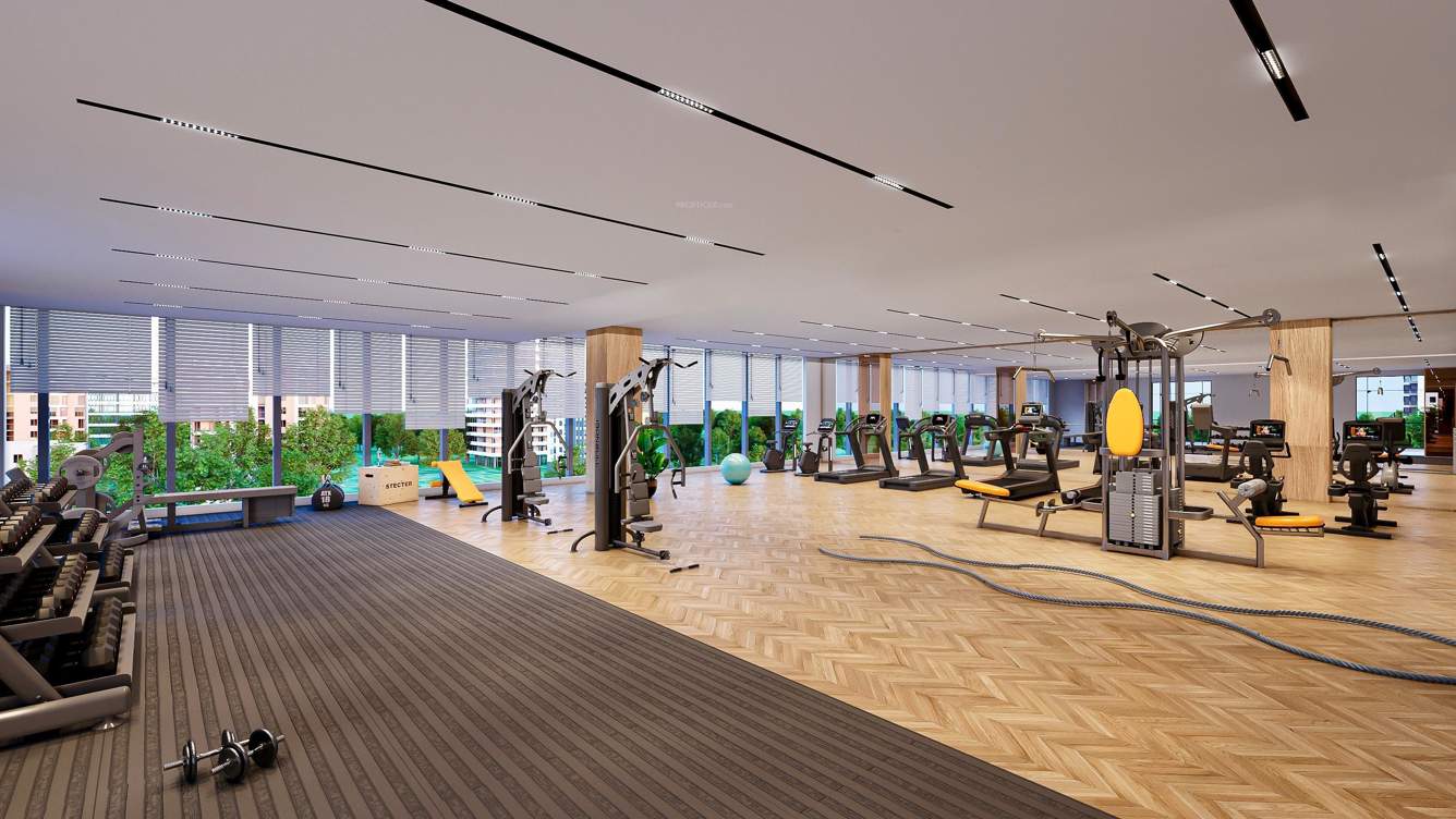  austin yana Gymnasium