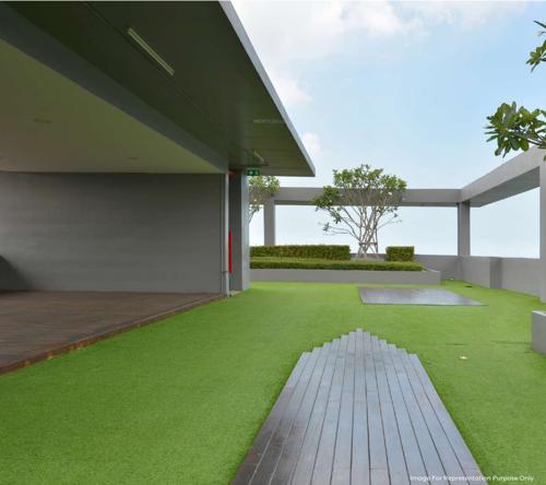  rajanigandha-chsl Terrace Garden