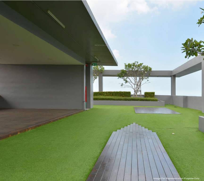  rajanigandha chsl Terrace Garden