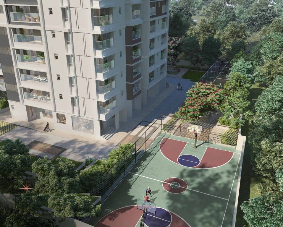 euphora Basketball Court