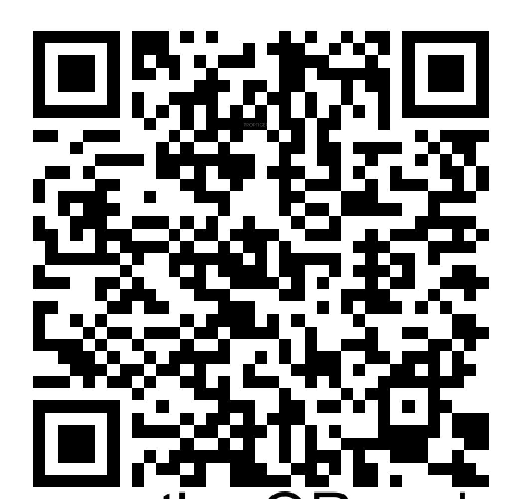 QR Image