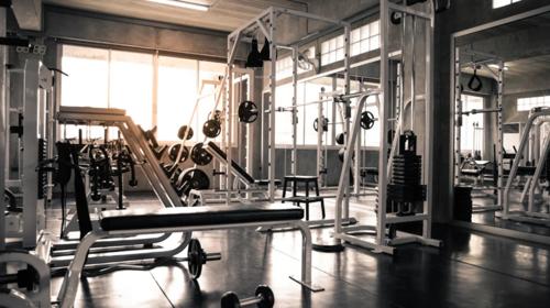 Gymnasium songbird-villa Gymnasium