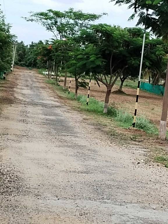 avenue Internal Roads & Footpaths