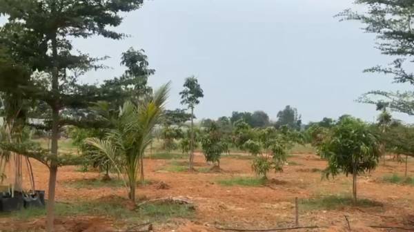  sr-gdp-farm-stay Elevation