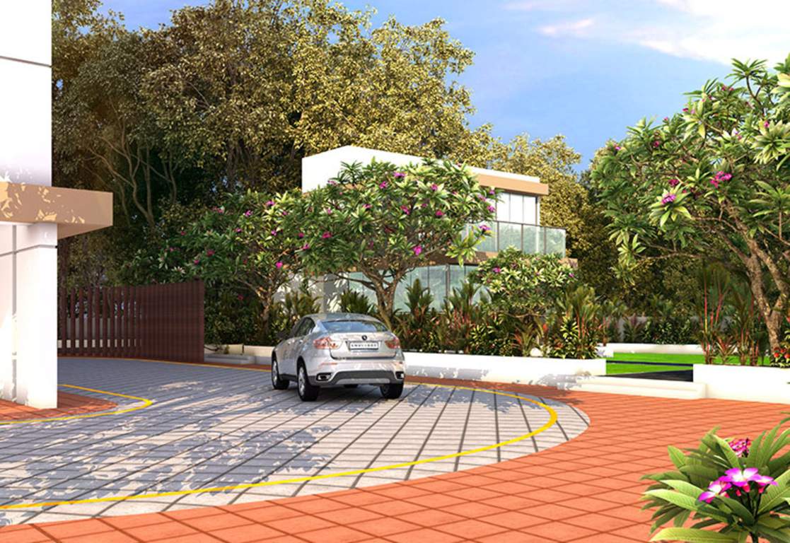  48 central park Landscape Garden and Tree Planting