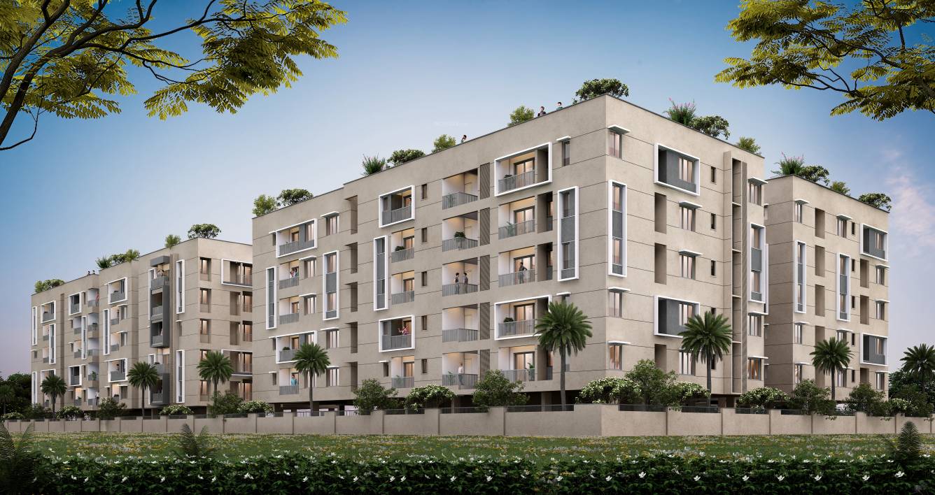  the league one Elevation