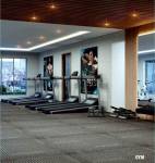  the-league-one Gymnasium