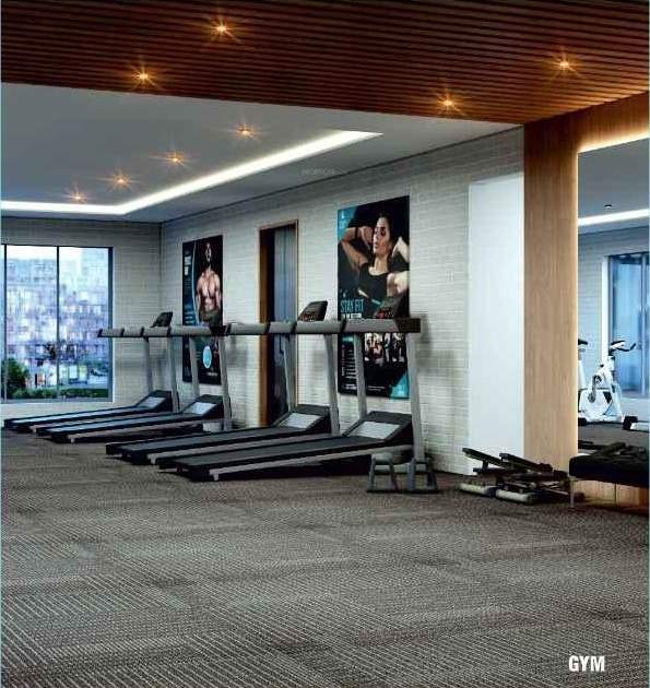  the league one Gymnasium