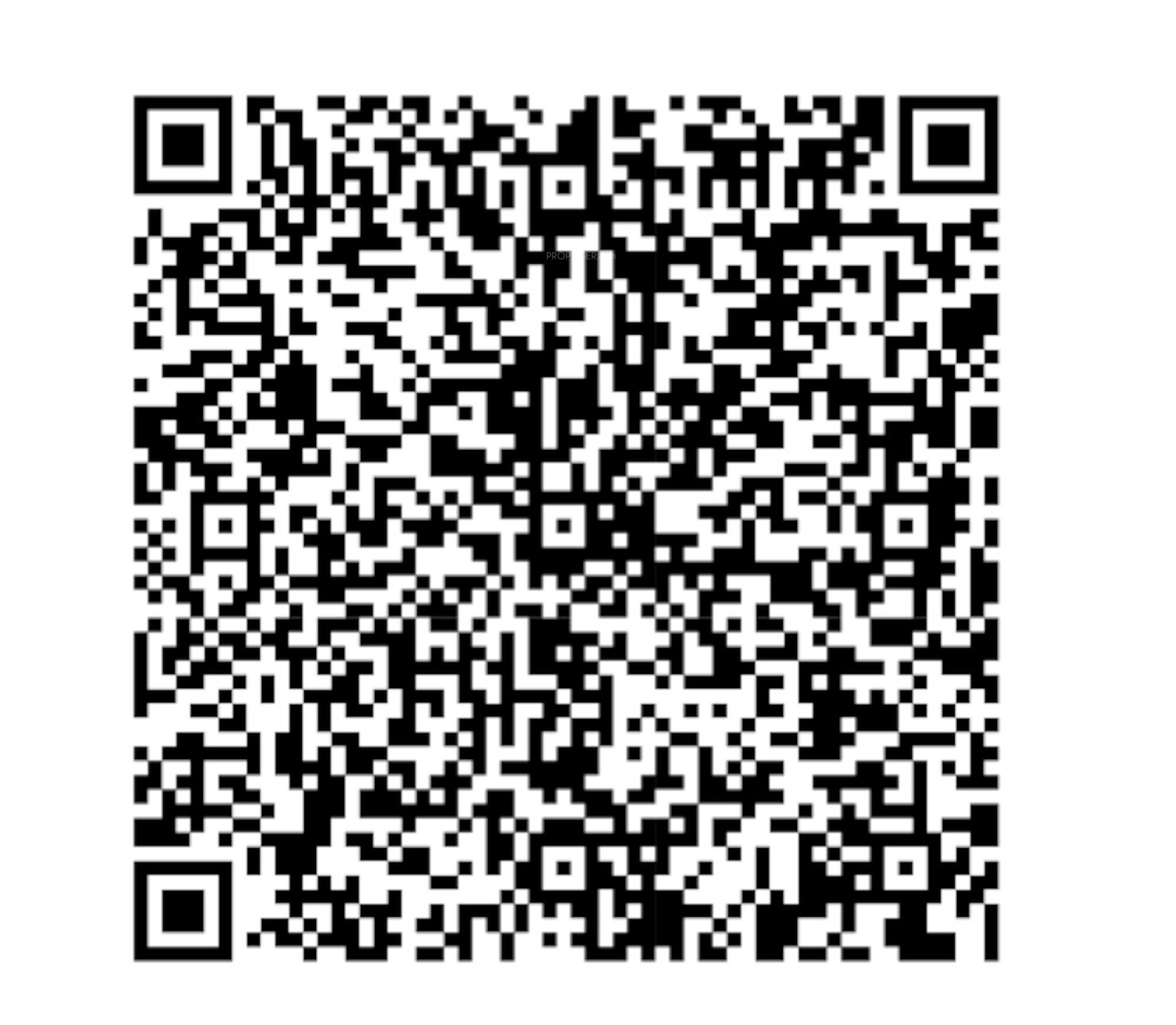 QR Image