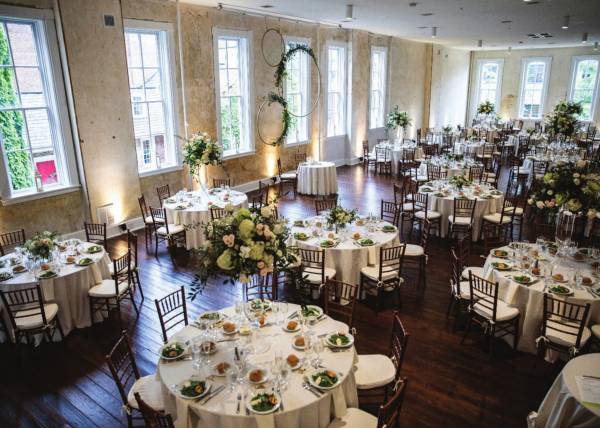  regal-oak-by-csk Others