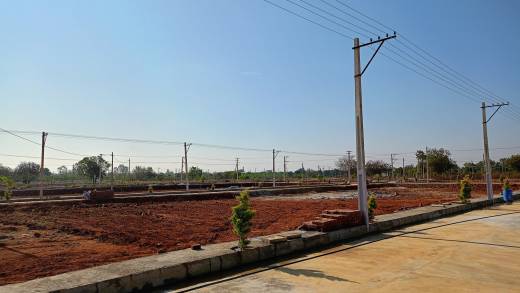 nasa-heights Elevation Elevation