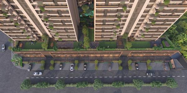  shagun-seleste Others