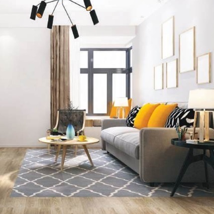  renox thrive Living Area