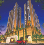 Elevation  trimaya Elevation