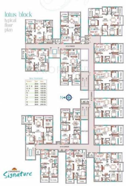 Tulip Cluster Plan signature Tulip Cluster Plan