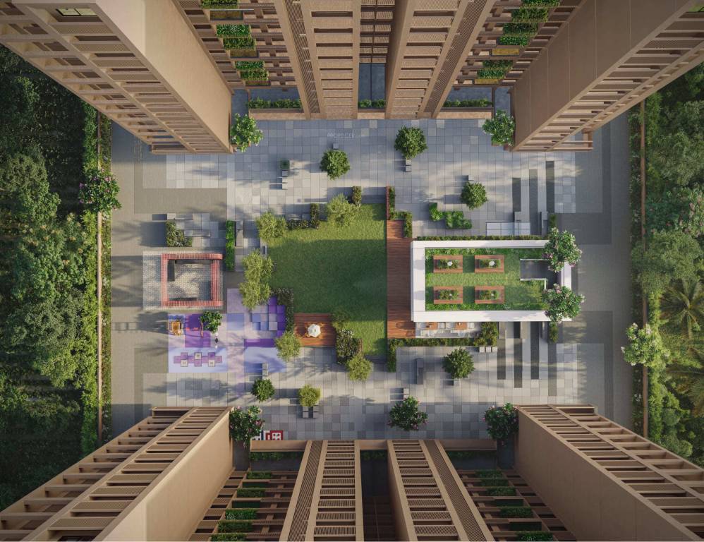  deshna Landscape Garden and Tree Planting