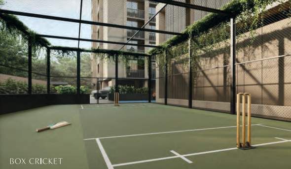  orchid regal Cricket arena