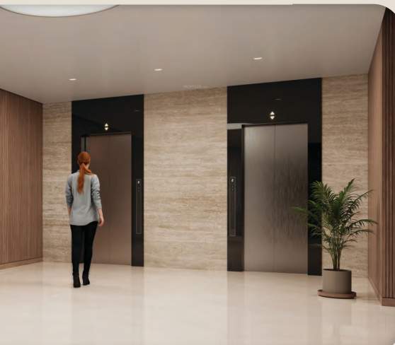  orchid regal Lift(s)