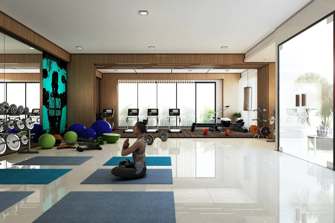  sakar paradise Gymnasium