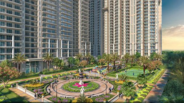 Others grand-begonia Others