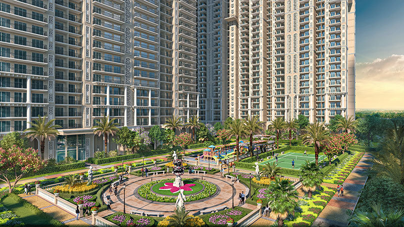 grand begonia Others