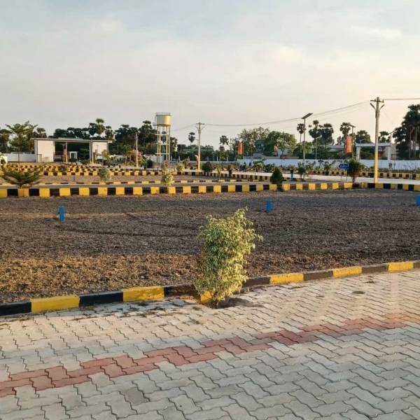  golden-plots Elevation