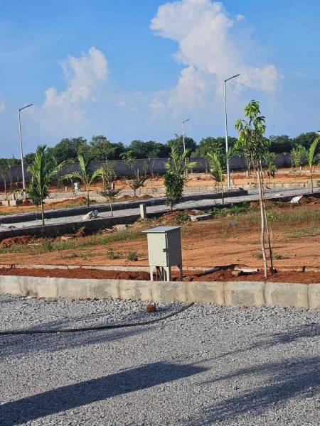  university-county Elevation