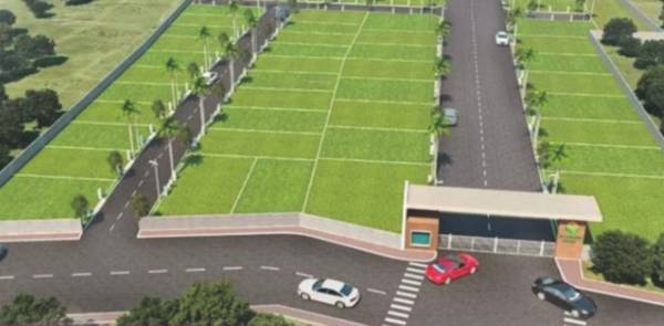  university-county Plot