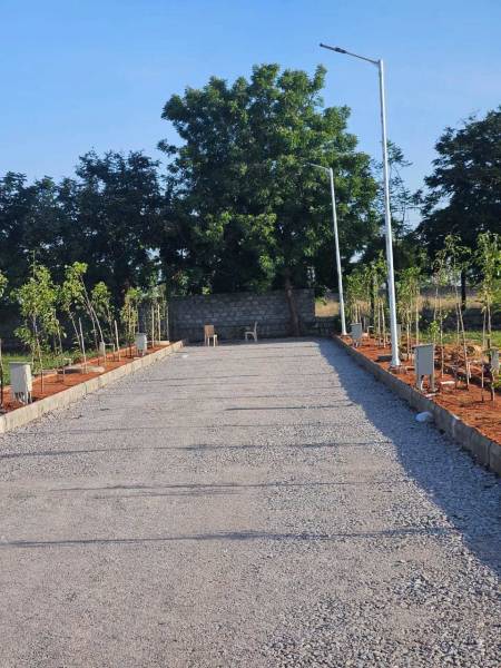  university-county Plot