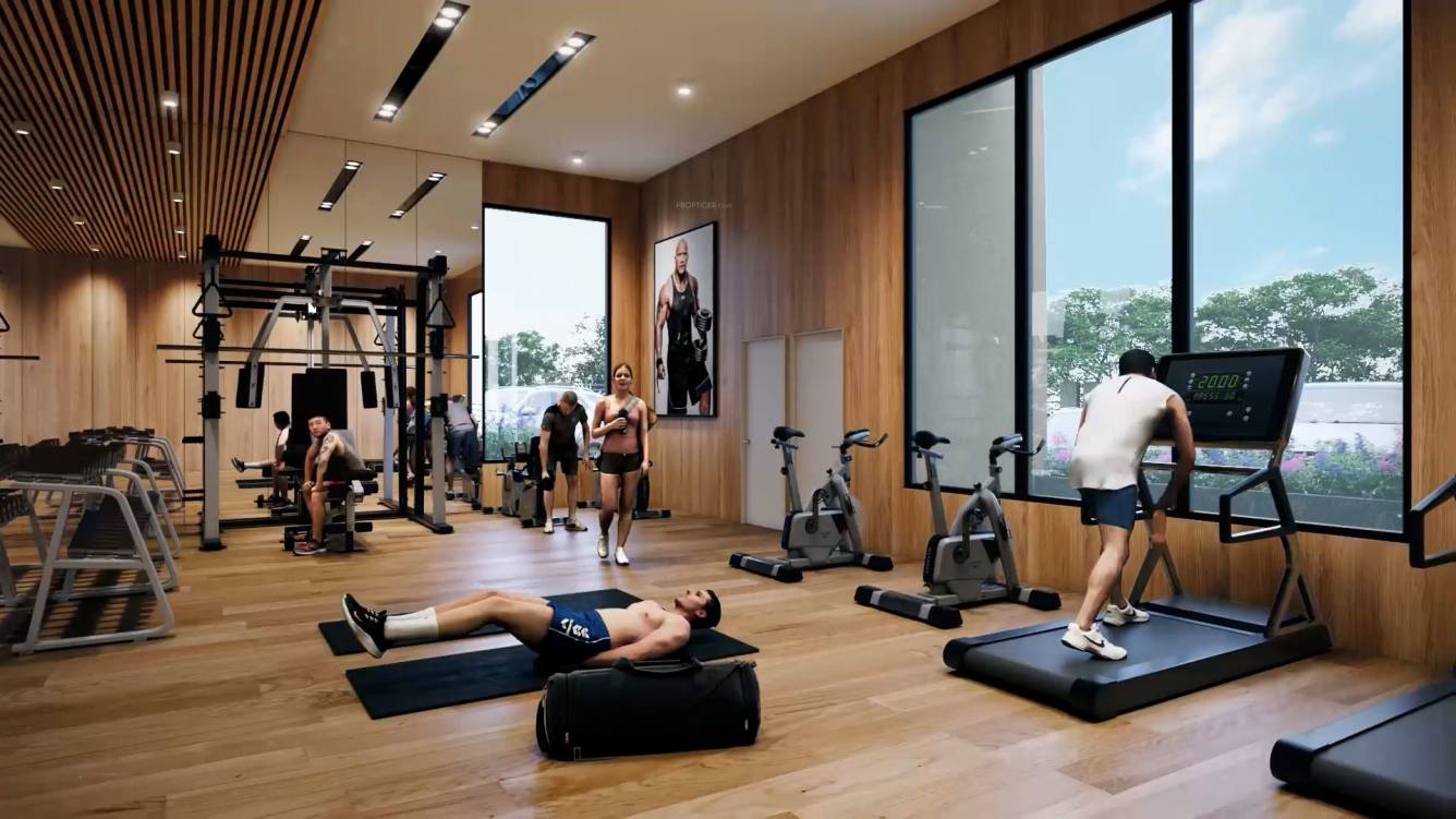  spectrum 21 Gymnasium