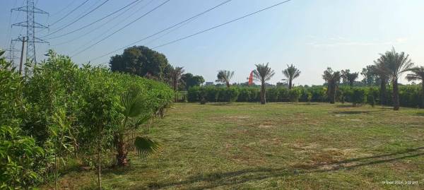  green-residency Others