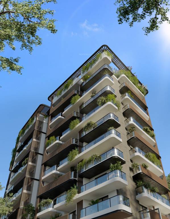  antheia poetry Elevation